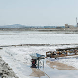Trapani Pure Italian Fine Sea Salt