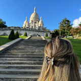 Mini Monarch Claw Hair Clip (Orange)
