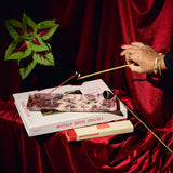 Plush Vetiver HI-FI Incense Sticks
