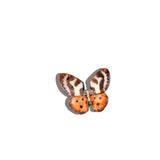 Hand-painted Tiger Moth Claw Hair Clip
